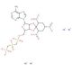 TNP-ATP tetrasodium salt solution (CAS 61368-63-6) - chemical structure image