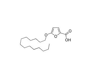 TOFA (5-(Tetradecyloxy)-2-furoic acid) (CAS 54857-86-2) - chemical structure image