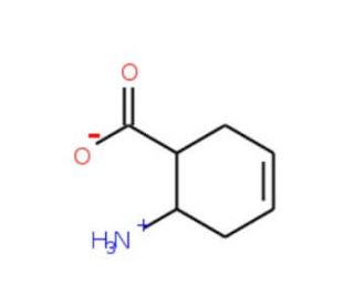 trans-6-Amino-cyclohex-3-enecarboxylic acid (CAS 97945-19-2) - chemical structure image