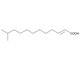 trans-Δ2-11-methyl-Dodecenoic Acid (CAS 677354-24-4) - chemical structure image