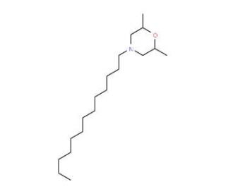 Tridemorph (CAS 24602-86-6) - chemical structure image
