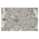TRIM35 Antibody (31-M) - Immunohistochemistry - Image 36201