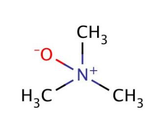 Trimethylamine N-oxide (CAS 1184-78-7) - chemical structure image