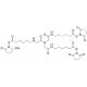 Tris-succinimidyl (6-aminocaproyl)aminotriacetate - chemical structure image