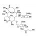 Tulathromycin A (CAS 217500-96-4) - chemical structure image