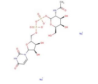 UDP-N-acetyl-D-galactosamine disodium salt (CAS 108320-87-2) - chemical structure image