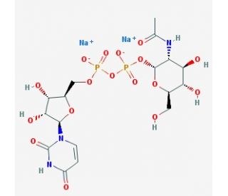 UDP-N-acetyl-D-glucosamine disodium salt (CAS 91183-98-1) - chemical structure image