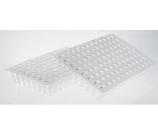 UltraCruz&reg; PCR Plate, 96 well, 0.2 ml, with alphanumeric labeling for easy sample identification. The clear construction a 