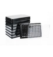 Multiple UltraCruz&reg; Tissue Culture Plates with transparent lids. Black frame reduces light interference, ensuring accurate