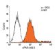 uPAR Antibody (10G7) - Flow Cytometry - Image 8049