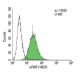 uPAR Antibody (10G7) - Flow Cytometry - Image 9432 