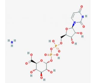Uridine 5′-diphosphoglucuronic acid ammonium salt (CAS 43195-60-4) - chemical structure image
