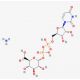Uridine 5'-diphosphoglucuronic acid ammonium salt 的分子结构, CAS编号: 43195-60-4 Uridine 5′-diphosphoglucuronic acid ammonium salt (CAS 43195-60-4) - chemical structure image