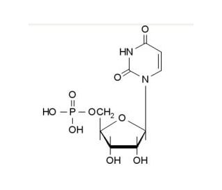 Uridine 5&prime;-monophosphate (CAS 58-97-9) - chemical structure image