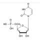 Uridine 5′-monophosphate (CAS 58-97-9) - chemical structure image