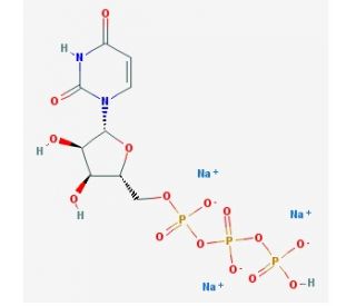 Uridine-5&prime;-triphosphate, Trisodium Salt (CAS 19817-92-6) - chemical structure image