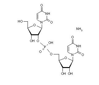 Uridylyl-2&prime;-5&prime;-uridine ammonium salt (CAS 108321-54-6) - chemical structure image