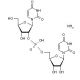 Uridylyl-2′-5′-uridine ammonium salt (CAS 108321-54-6) - chemical structure image