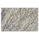 V-ATPase D1 Antibody (34-Z) - Immunohistochemistry - Image 35919