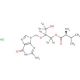 Valganciclovir-d5 Hydrochloride - chemical structure image