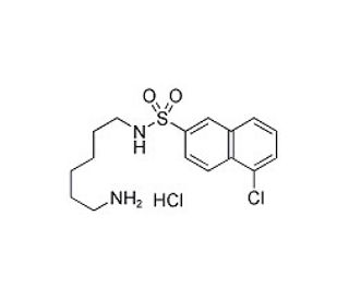 W-7 Isomer hydrochloride (CAS 69762-85-2) - chemical structure image