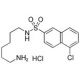 W-7 Isomer hydrochloride (CAS 69762-85-2) - chemical structure image
