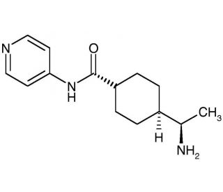 Y-27632, free base (CAS 146986-50-7) - chemical structure image
