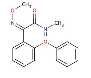 (Z)-Metominostrobin (CAS 133408-51-2) - chemical structure image